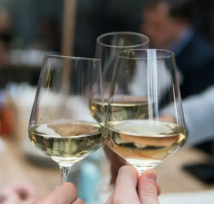 Close-up of people clinking glasses of white wine in a toast.