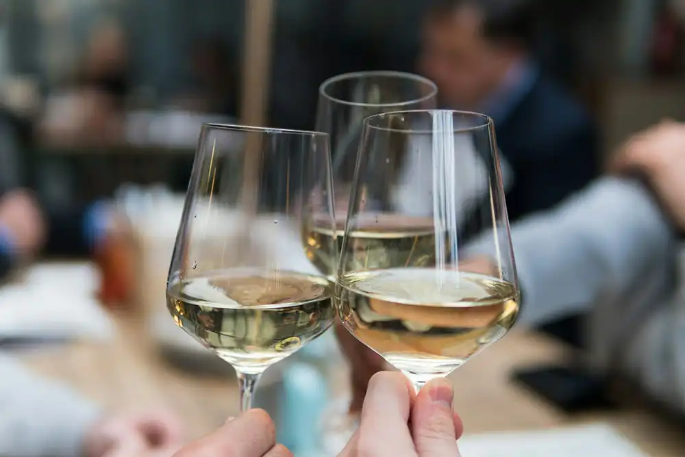 Close-up of people clinking glasses of white wine in a toast.
